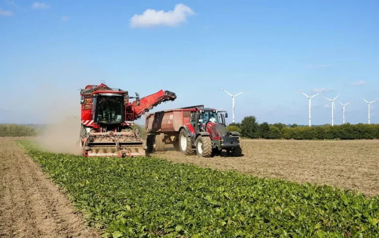 entreprise agricole